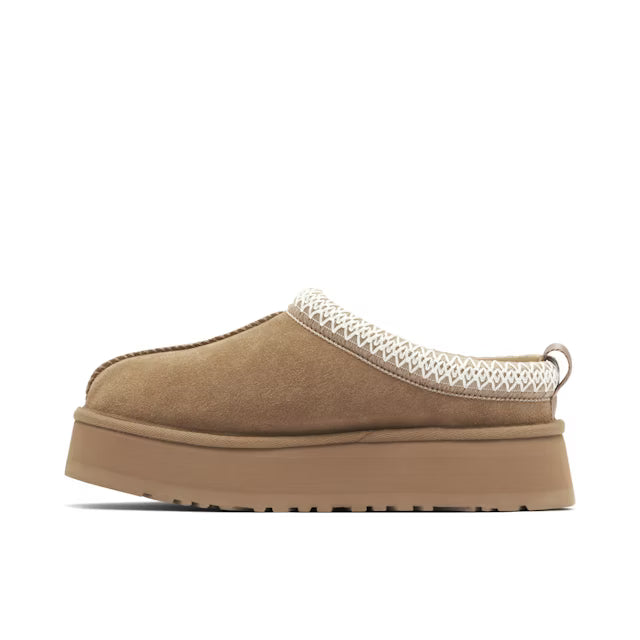 Slipper Mushroom Edition
