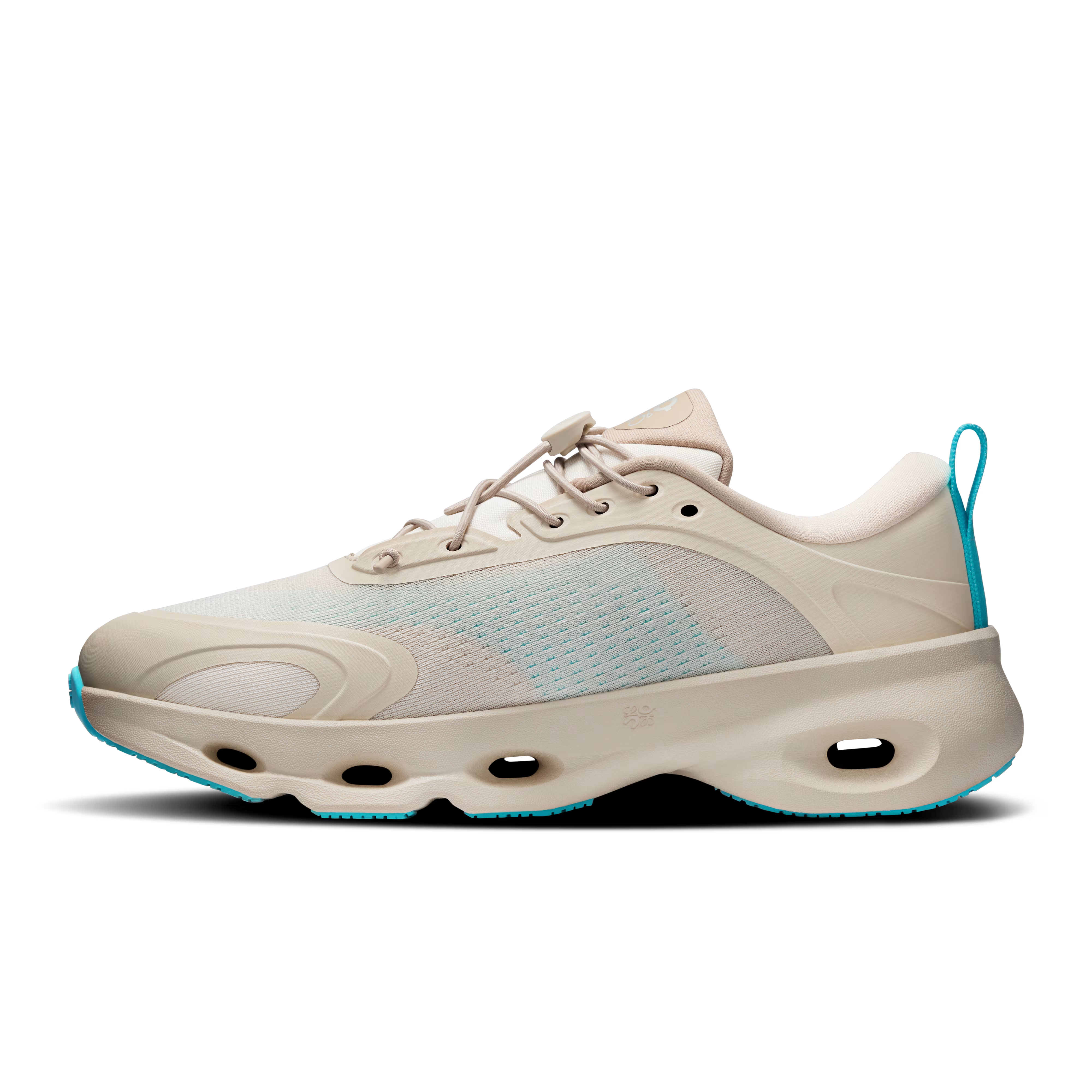 CS x LW