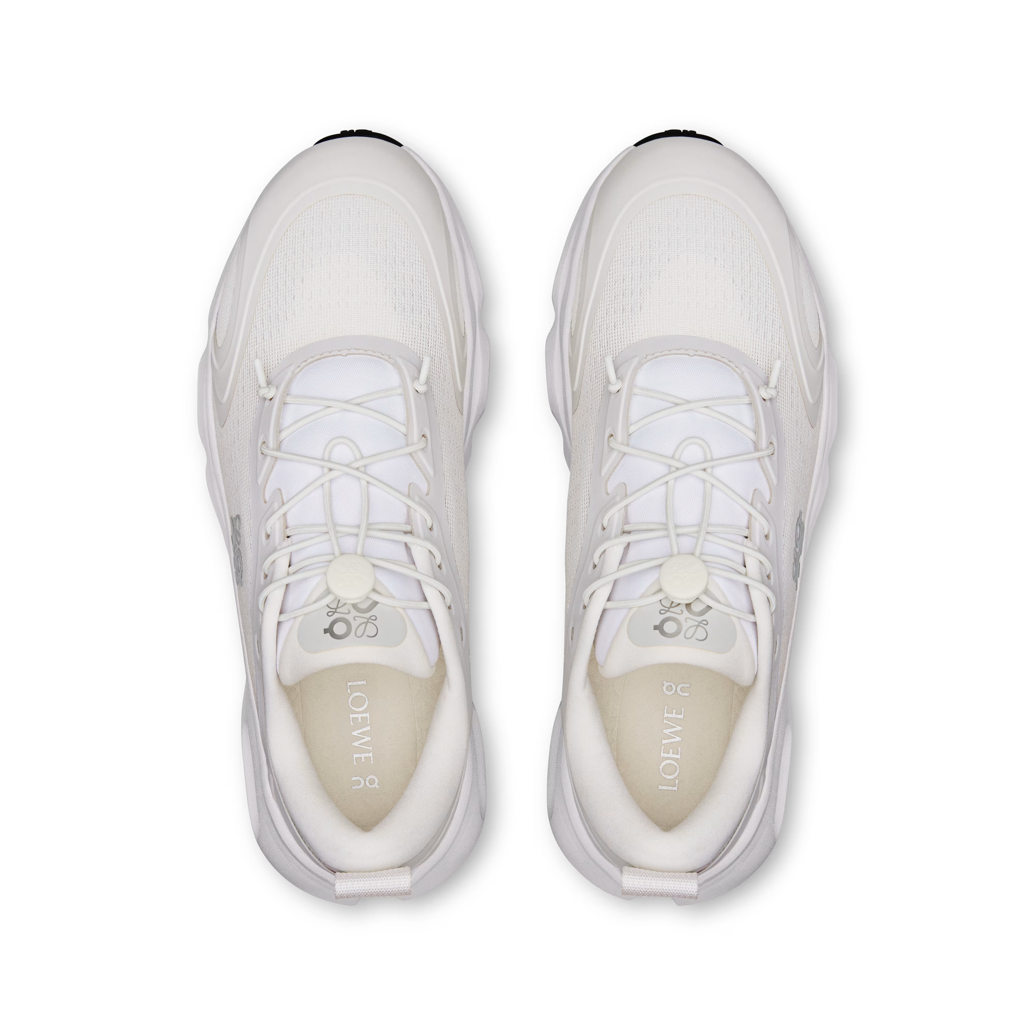 CS x LW