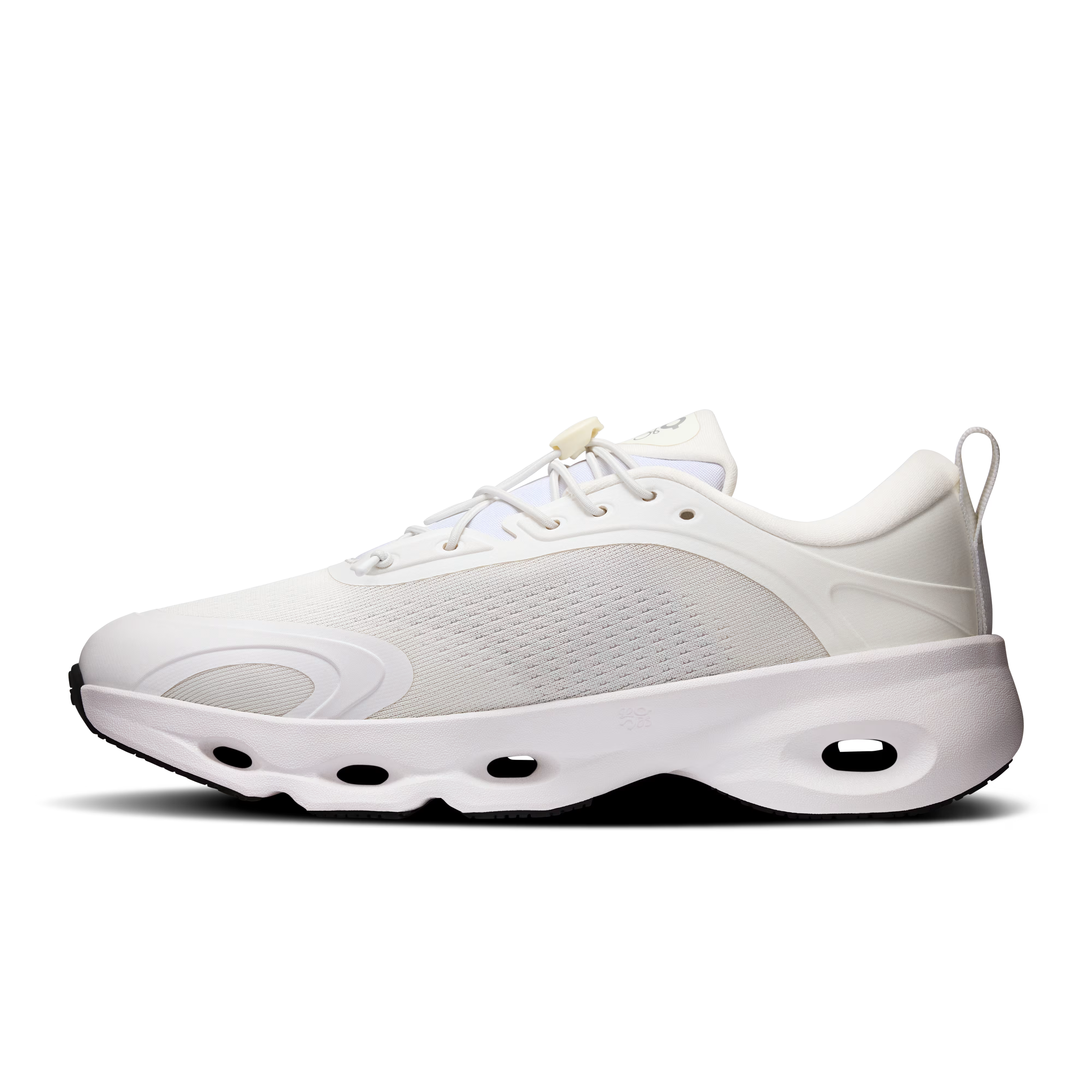 CS x LW